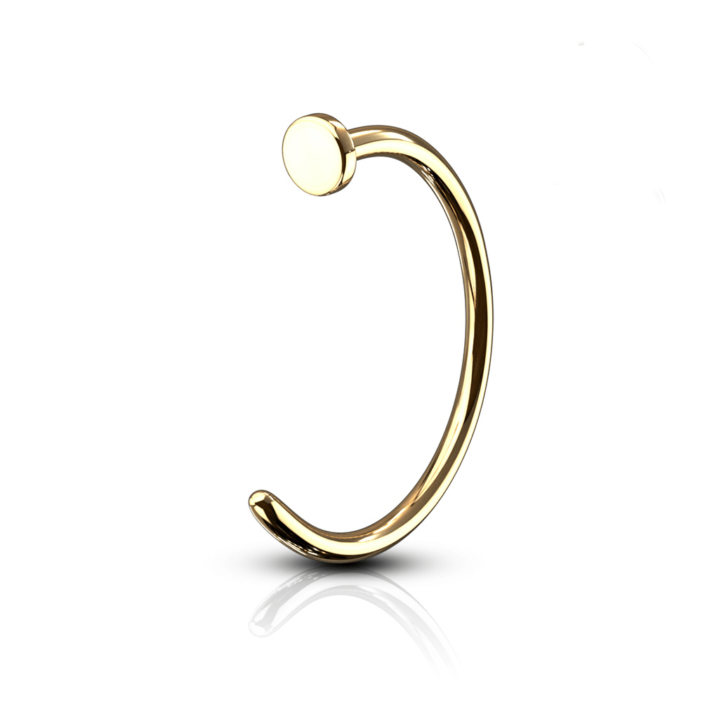 Gold Hoop Nose Ring IP over Steel