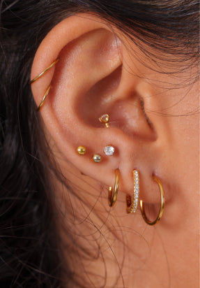 Image for EAR Collections