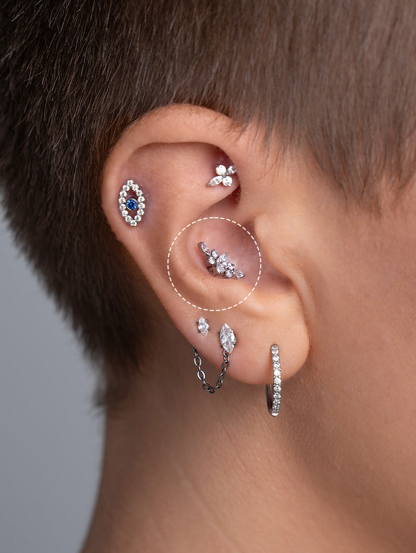 Conch 