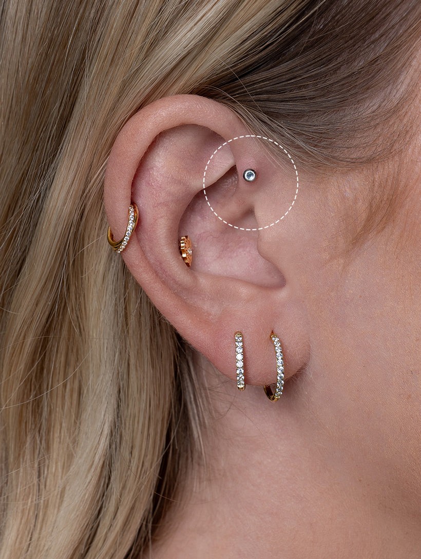 Forward Helix