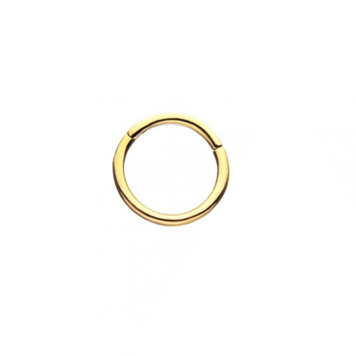 14K Solid Gold Hinged Segment Ring - SkinKandy | Body Jewellery & Piercing Online Australia