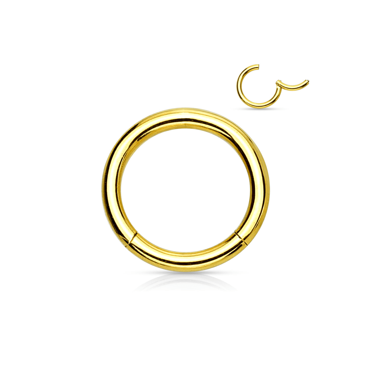 Gold PVD Over Steel Hinged Segment Ring - SkinKandy | Body Jewellery & Piercing Online Australia