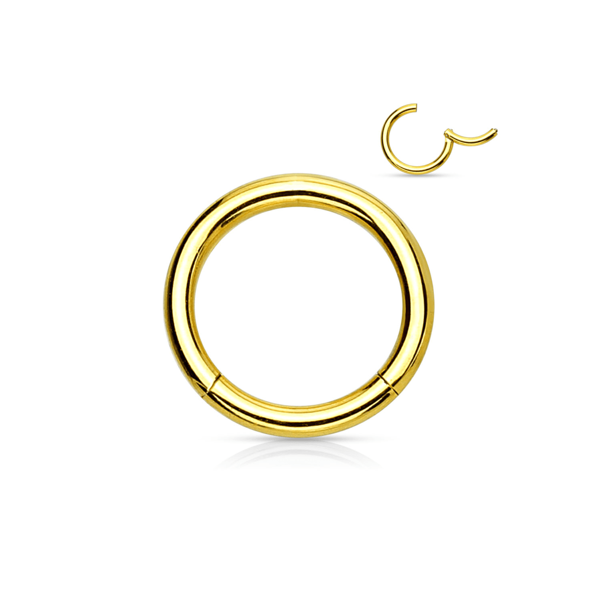 Gold PVD Over Steel Hinged Segment Ring