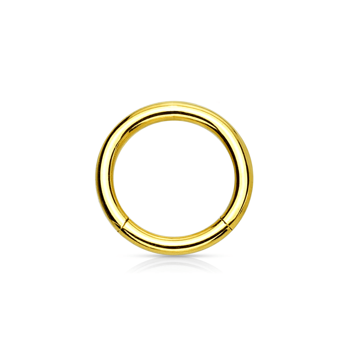 Gold PVD Over Steel Hinged Segment Ring - SkinKandy | Body Jewellery & Piercing Online Australia