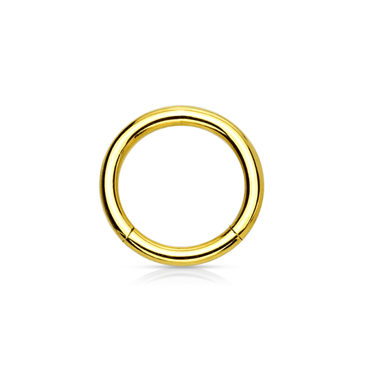 Gold PVD Over Steel Hinged Segment Ring - SkinKandy | Body Jewellery & Piercing Online Australia