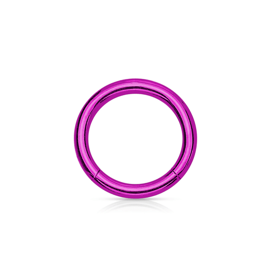 Purple PVD Over Steel Hinged Segment Ring - SkinKandy | Body Jewellery & Piercing Online Australia
