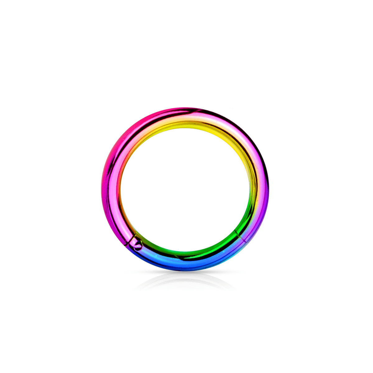 Rainbow PVD Over Steel Hinged Segment Ring - SkinKandy | Body Jewellery & Piercing Online Australia