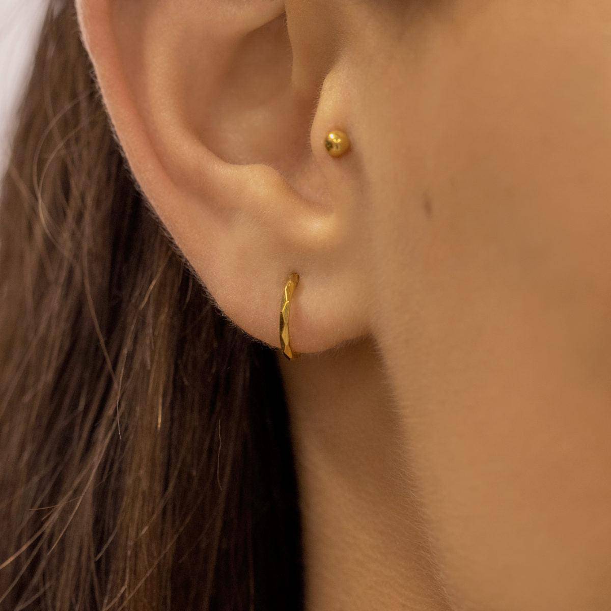 Classic Faceted Titanium Hinged Segment Ring - SkinKandy | Body Jewellery & Piercing Online Australia