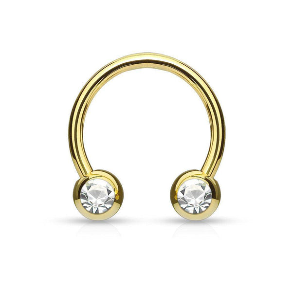 Coloured Horseshoe With Front Facing Gems
