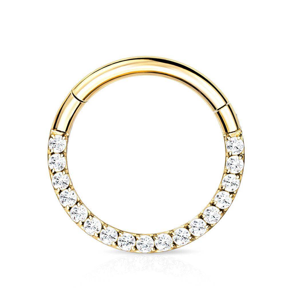 CZ Titanium Hinged Segment Ring - SkinKandy | Body Jewellery & Piercing Online Australia