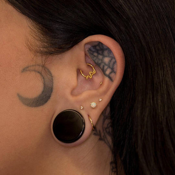 Titanium Snake Earrings Hinged Segment