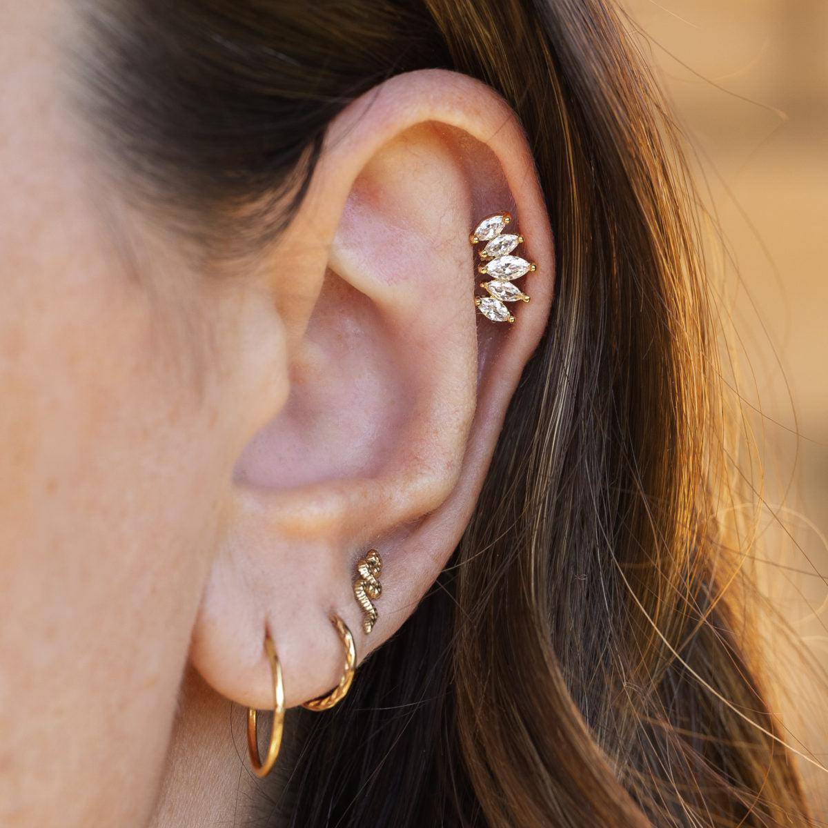 Steel Hinged Segment with Chevron Cut Front - SkinKandy | Body Jewellery & Piercing Online Australia