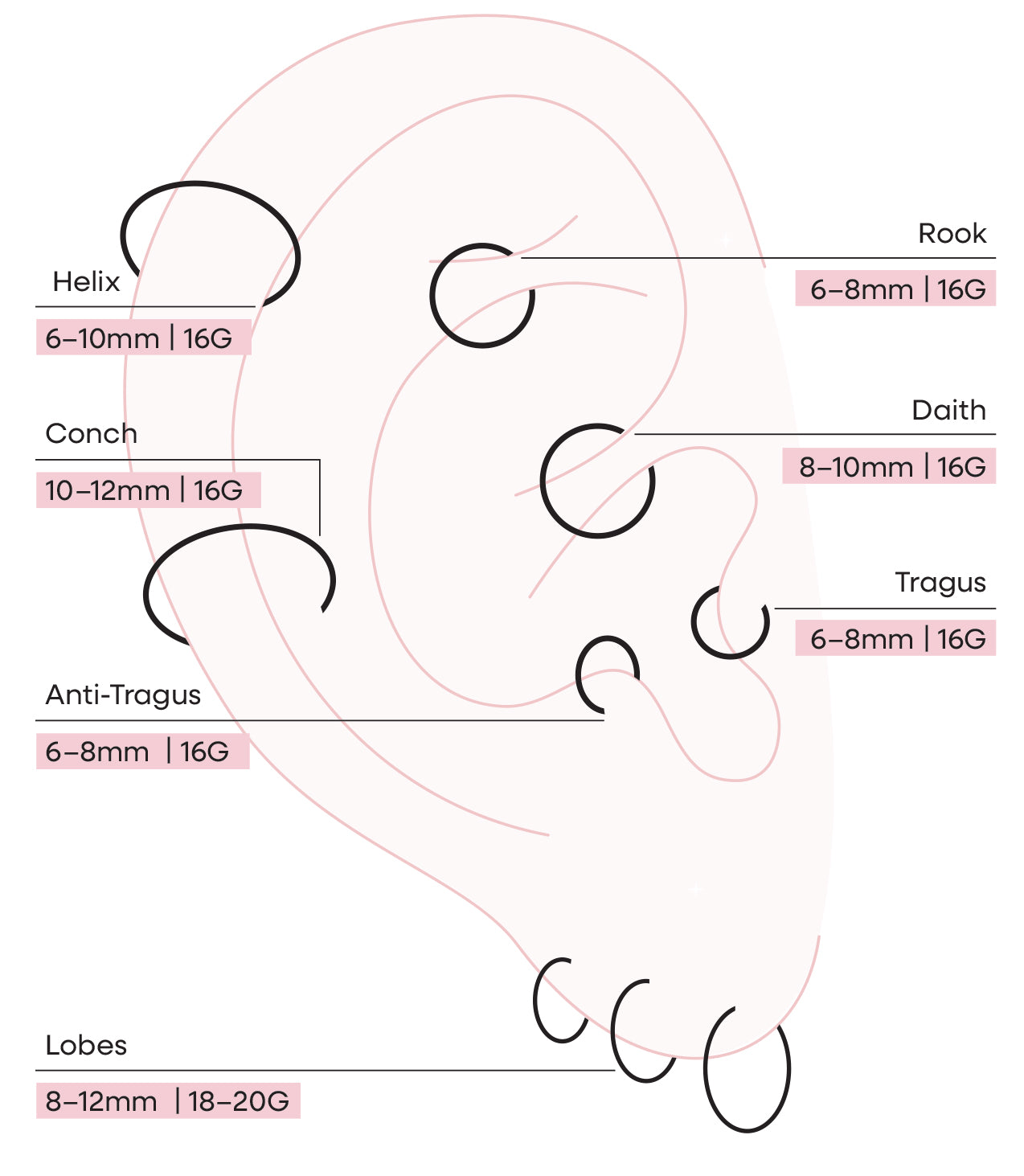 Ear piercing placements with recommended jewellery sizes